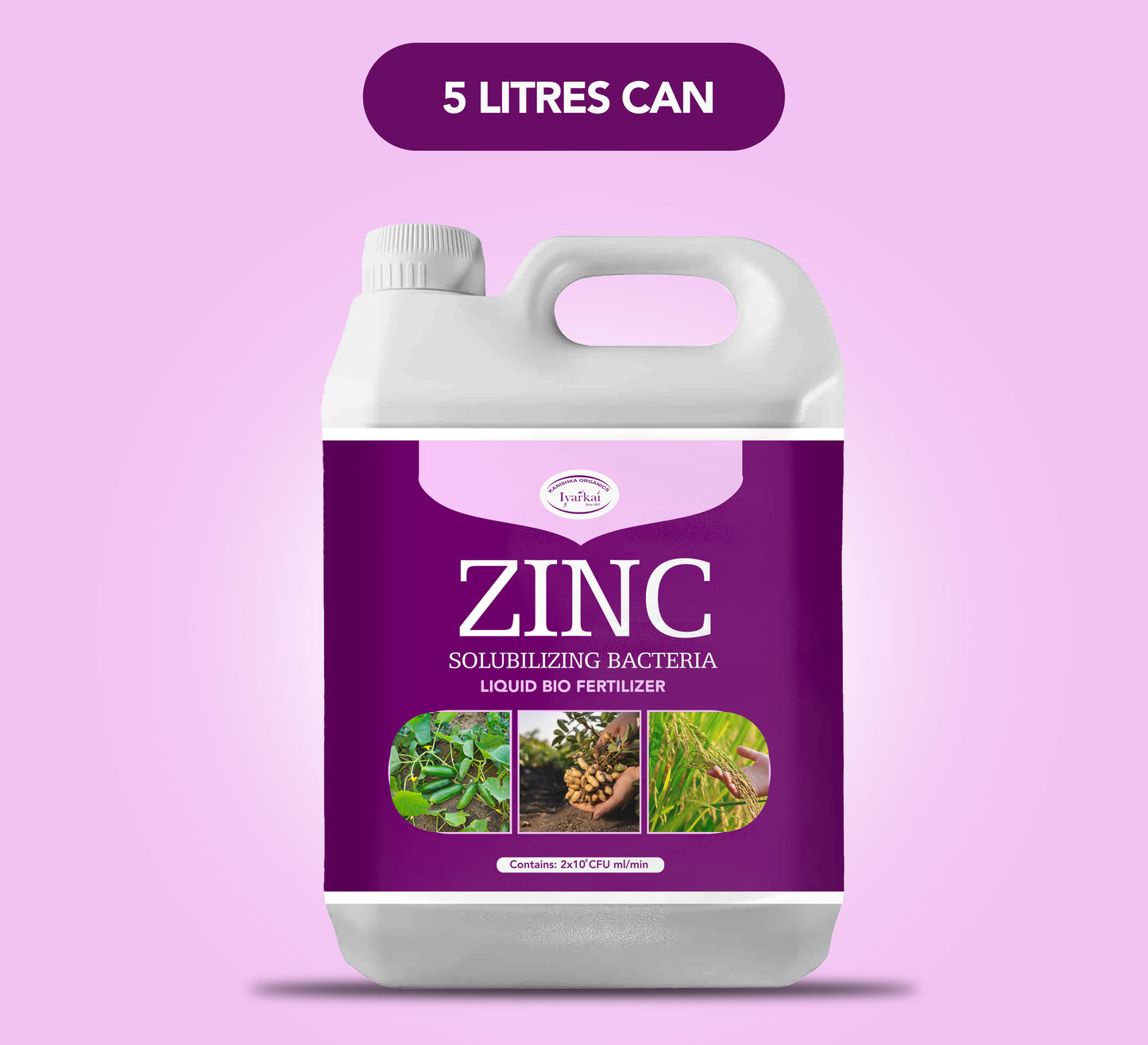 Zinc Solubilizing Bacteria Liquid – For Zinc Nutrition in Crops